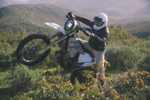 Torch Baja White