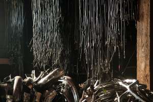 Coopers Motorcycle Salvage