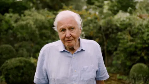 The Wildlife Trusts A screenshot of the video with David Attenborough looking into the camera with a furrowed brow and pursed lips. He has white, short hair and is wearing a light blue shirt with short sleeves. He is standing outside in front of some trees and bushes.
