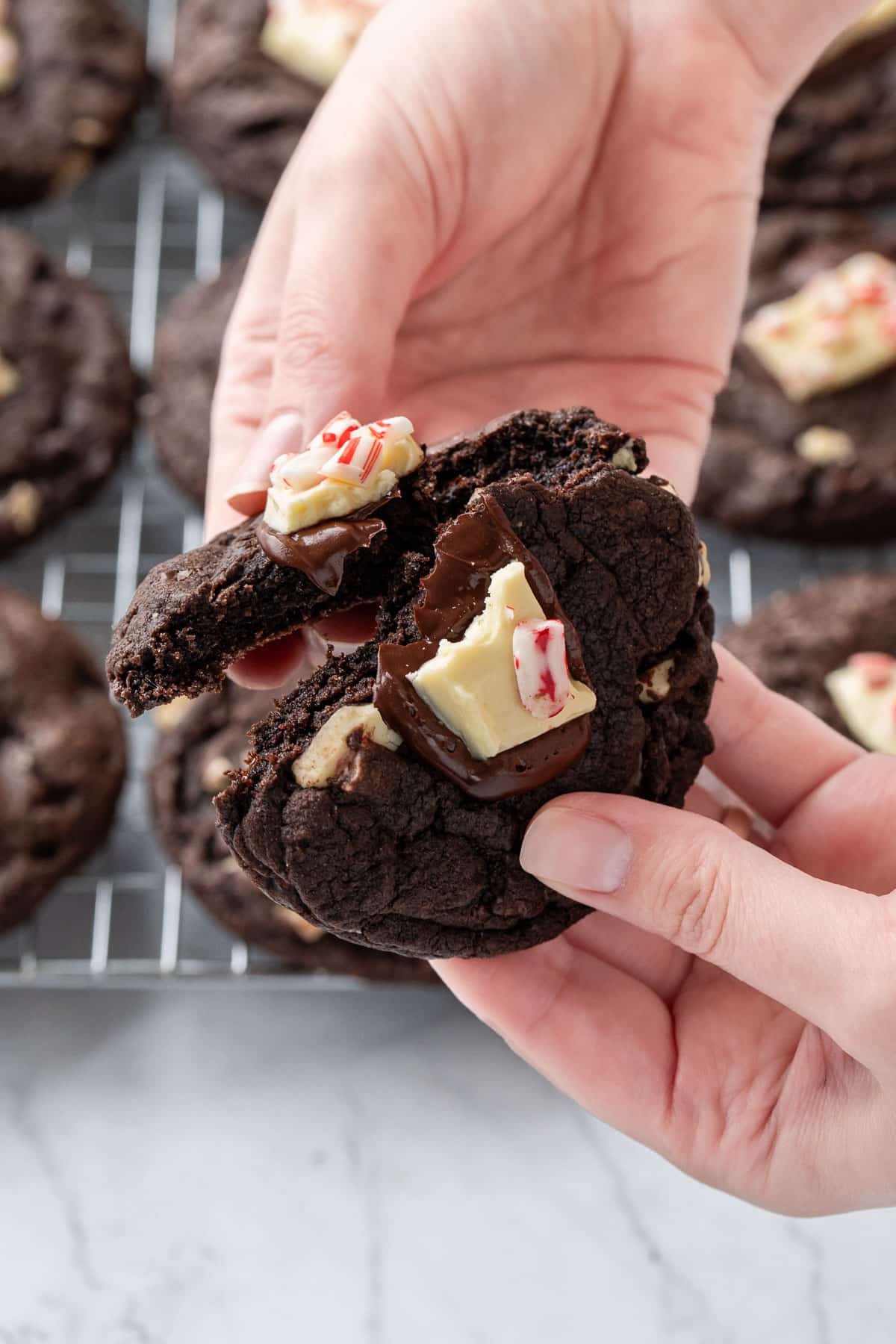 Hands breaking a warm Chocolate Peppermint Bark Cookie in half, showing the texture inside and melty chocolate on top.